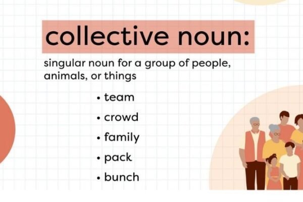 1000 Examples of Collective Nouns