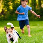 Dog Care Activities