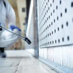 Professional Mold Remediation Services