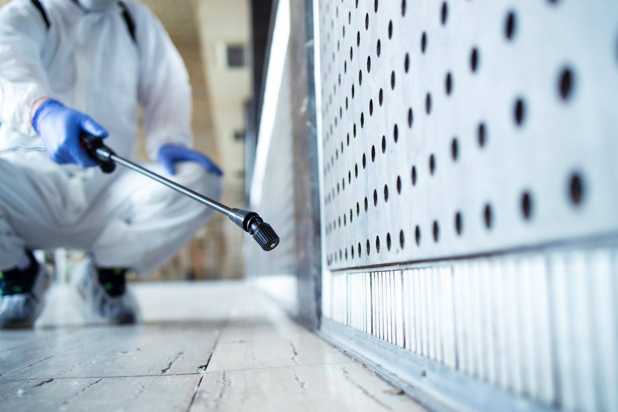 Professional Mold Remediation Services